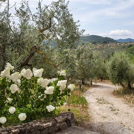 La Palagina Figline Valdarno