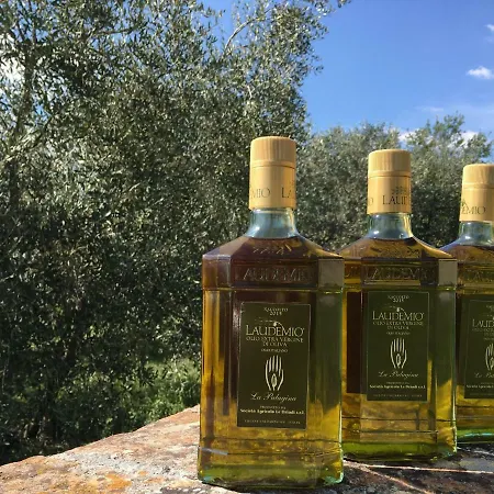 Palagina La Dimora Figline Valdarno